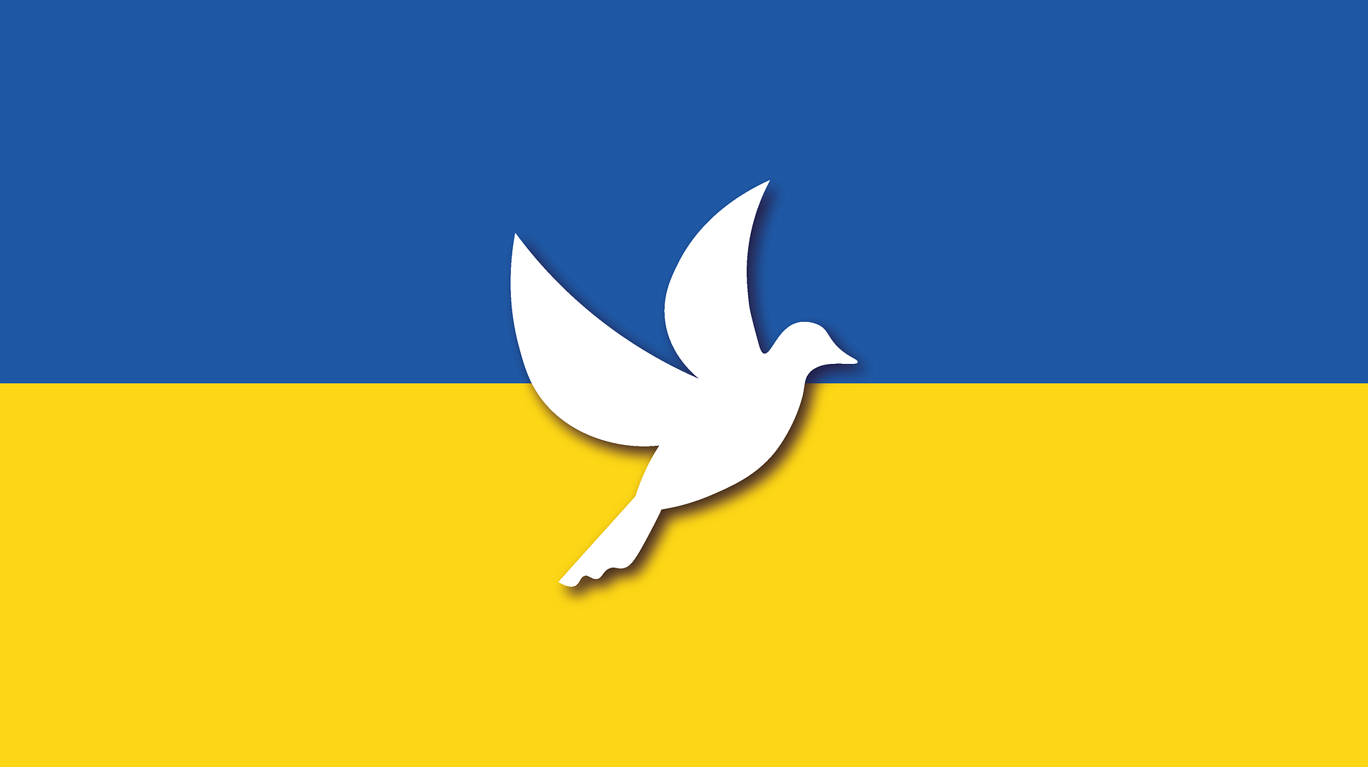 Spendenaktion Ukraine